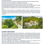Jardin Piscina Climatizada * Frigiliana
